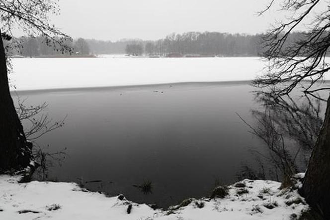 Jezioro Rusałka w zimowej aurze