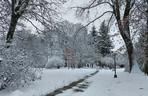 Zima w Zamościu. Śnieżna kołderka okryła miasto! Zobacz zdjęcia