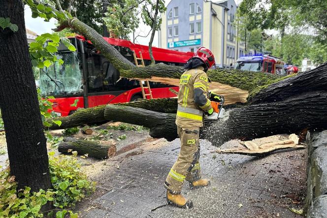 Drzewo przewróciło się na miejski autobus. Są osoby poszkodowane