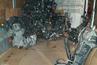 Złodzieje samochodów GRASOWALI w Wielkopolsce! Mieli ulubiony model auta