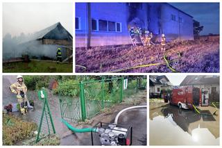 Pracowita doba u strażaków z powiatu iławskiego