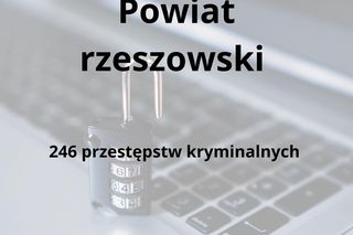 To tu na Podkarpaciu dochodzi do największej liczby przestępstw kryminalnych