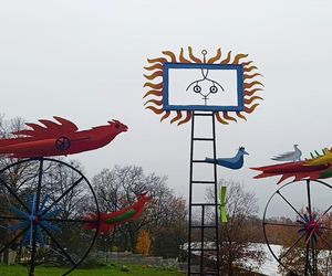 Ogniste Ptaki w Parku Kasprowicza w Szczecinie