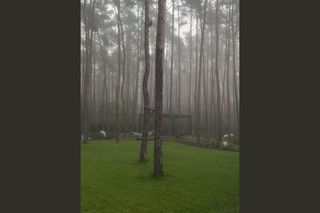 Sylwia Przybysz zaczarowała fanów kadrami z ogrodu. Magia w czystej postaci!