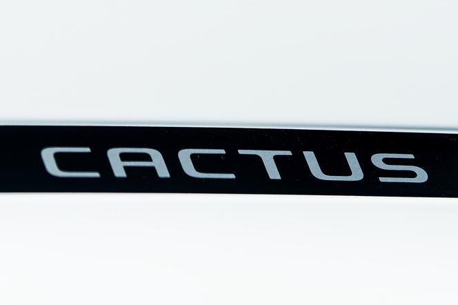 Citroen C4 Cactus 1.2 PureTech 130 KM Shine