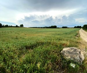 Ten zakątek Podlasi wygląda jak z Władcy Pierścieni Tolkiena