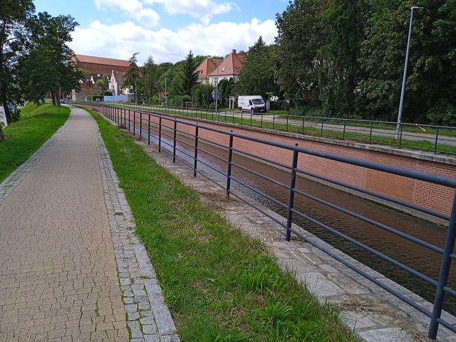 Przejechałam Gdańsk rowerem. Nasz test ścieżek rowerowych w mieście