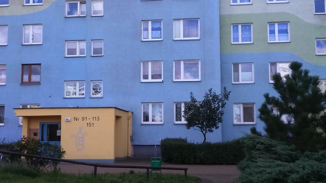 Mały Oluś wypadł z 11. piętra w Toruniu. Prokuratura stawia zarzuty jego matce