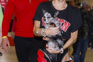 Doda i Dariusz Pachut są nadal razem? Insynuacja internautki rozwścieczyła sportowca