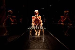 Body Worlds