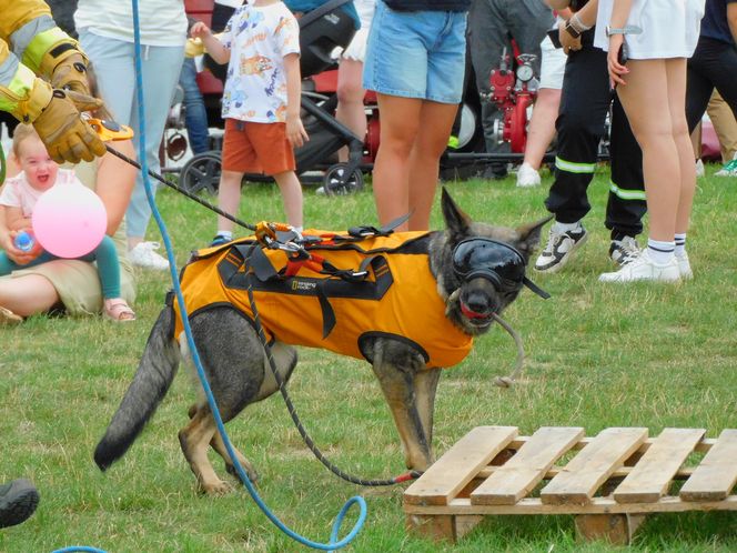 III Piknik Strażacki w Dąbrówce‑Stanach za nami