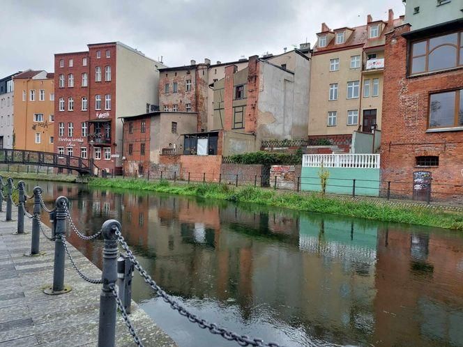 Tak bydgoszczanie oceniają swoje miasto: śmieci na plus, parkingi na minus. Zmienili zdanie w sprawie komunikacji