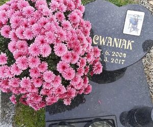 W całym woj. śląskim jest tylko jeden taki cmentarz. Miejsce, gdzie pamięć o pupilu nie umiera