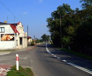 Drogi