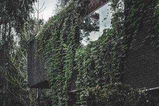 Jungle House - dom wśród drzew