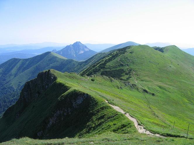 Wielki Rozsutec. Najpiękniejszy szczyt Małej Fatry na Słowacji