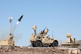 Raytheon Coyote