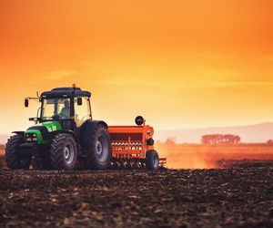 To ostatni moment na ubezpieczenie upraw przed zimą