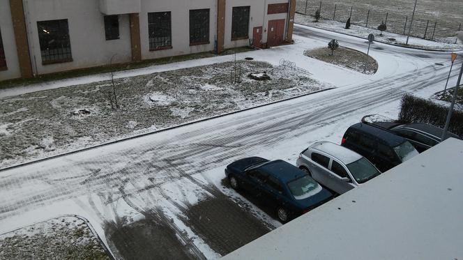 Pierwszy śnieg w tym roku we Wrocławiu i na Dolnym Śląsku. Zima przyszła na dłużej? [ZDJĘCIA]
