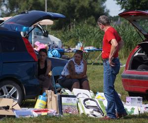 Pchli targ w podbydgoskich Przyłękach przyciągnął tłumy [ZDJĘCIA]