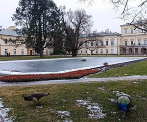 Oto miasta, które tworzą lubelski „trójkąt turystyczny”. Co warto w nich zwiedzić?