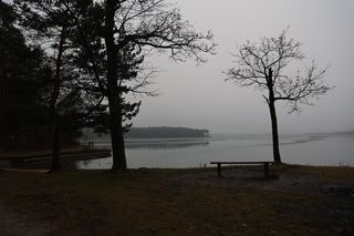 Ciało w zalewie w Zalewie Zemborzyckim w Lublinie