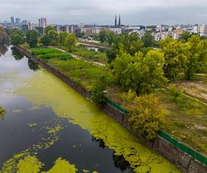 Port Praski - widok z drona, wrzesień 2024