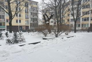 Szkoły w Polsce odwołują zajęcia. Wszystko z powodu ataku zimy. W zaspie utknęło małżeństwo! [WIDEO]