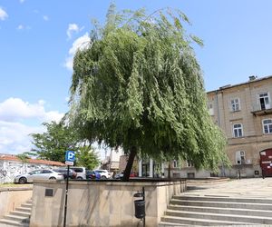 Tak wygląda pl. Rybny w Lublinie przed remontem