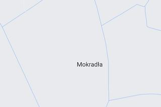 Mokradła