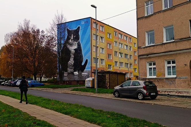 Mural z kotem Gackiem już odsłonięty