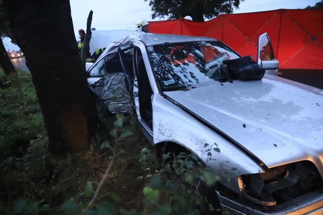 Wielkopolskie. Mercedes uderzył w drzewo! 26-letni pasażer nie żyje! 