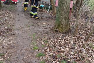 Tragiczny pożar w Świętokrzyskiem! W płomieniach zginął 64-letni mężczyzna [ZDJĘCIA]