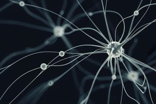 Sekret inteligencji odkryty. Jak jedno zdanie ujawnia geniusza?