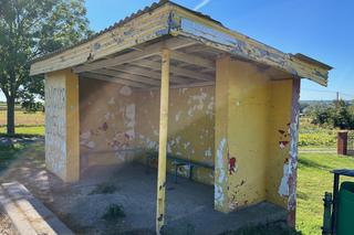 Ania wysiadła z PKS i zginęła straszną śmiercią. Ludzie we wsi: Piersi jej poodrzynał