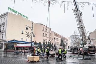 5 Montaż choinki w Pasażu Schillera