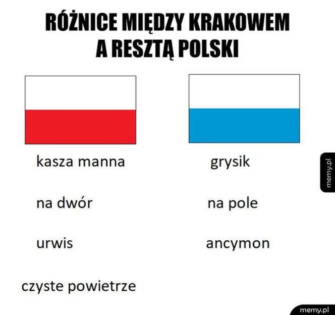 Najlepsze memy o Krakowie. Te grafiki bawią do łez 