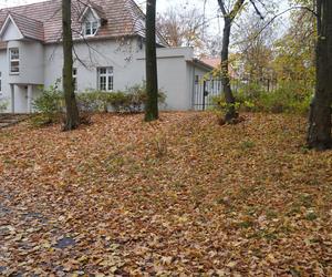 Park Sołacki w Poznaniu jesienią