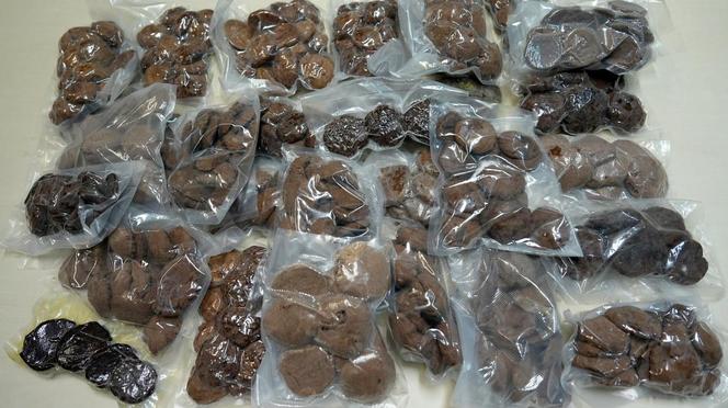 Wyrabiali ciastka z Marihuaną. Policja zabezpieczyła ponad 10 kg „wypieków”