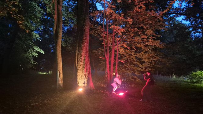 Olsztyn zamienił się w magiczną krainę. Park Świateł przyciągnął tłumy!