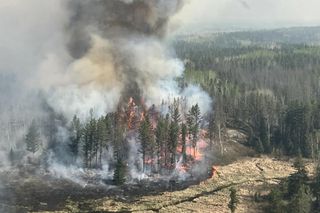 Pożary w Kanadzie zbierają śmiertelne żniwo. Żywioł zaskoczył mieszkańców, są ofiary