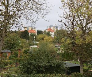 Jesienna odsłona terenów nad Bystrzycą w Lublinie. Tak się prezentuje w październiku