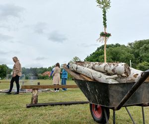 Postawili majowe drzewko. Impreza integracyjna w Henrykowie koło Leszna