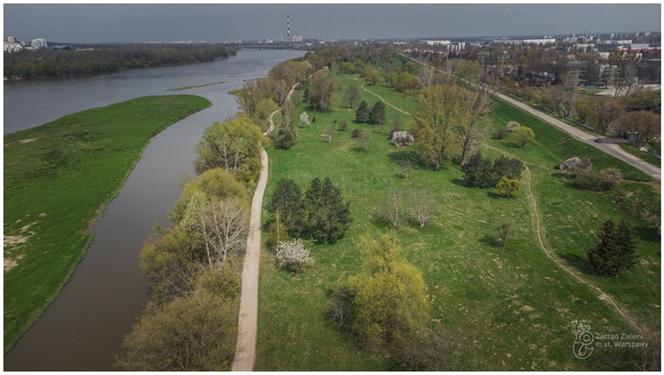 Trzaskowski wymyślił park. Ekolodzy go nie chcą. Awantura o naturę nad Wisłą