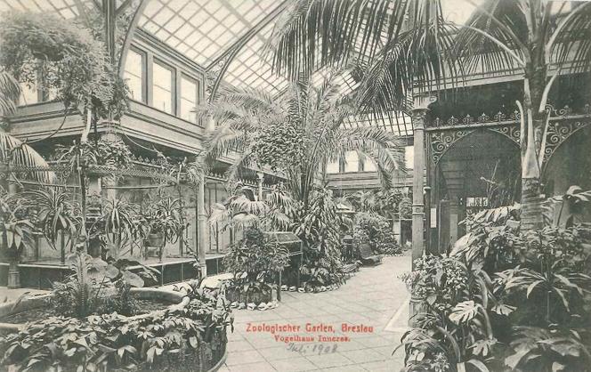 Niezwykłe pocztówki z wrocławskiego zoo. Pamiętają czasy Breslau! [ZDJĘCIA] 
