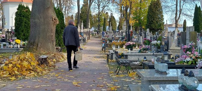 Przygotowania do Wszystkich Świętych Zamość