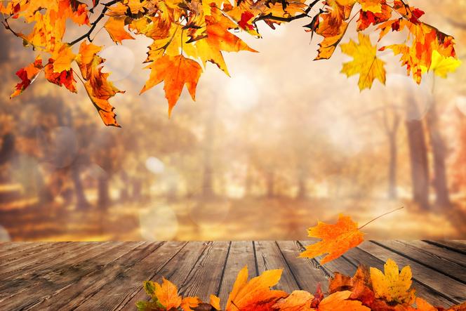 Pogoda na wrzesień i październik 2022. Prognoza na jesień mocno zaskakuje! Ekspert IMGW nie pozostawia złudzeń
