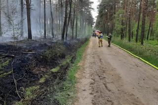 Podpalacz grasuje pod Pleszewem?! Ktoś chyba świetnie się bawi