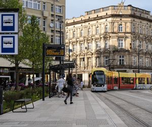 Plac Wolności 15