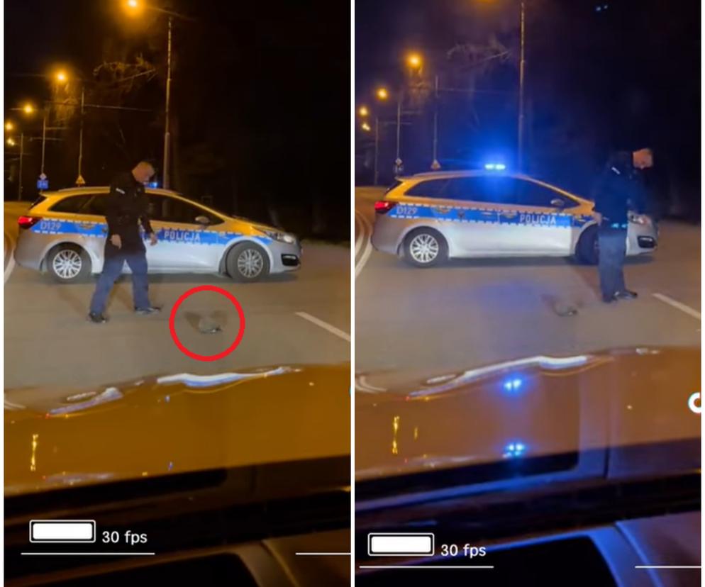 Policjant uratował jeża, który znalazł się na środku drogi. Filmik jest HITEM sieci! 
